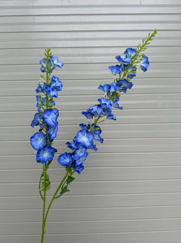 TONE XANH DƯƠNG BLUE