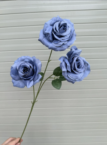TONE XANH DƯƠNG BLUE