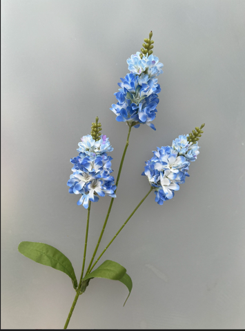 TONE XANH DƯƠNG BLUE