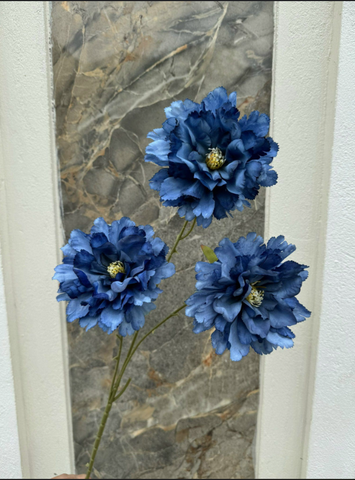 TONE XANH DƯƠNG BLUE