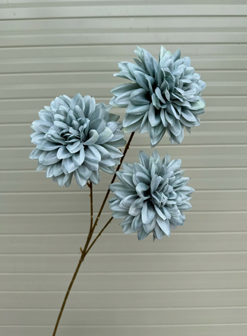 TONE XANH DƯƠNG BLUE