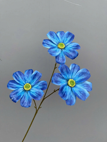 TONE XANH DƯƠNG BLUE