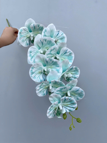 TONE XANH DƯƠNG BLUE