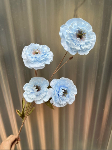 TONE XANH DƯƠNG BLUE