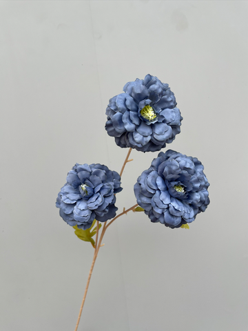 TONE XANH DƯƠNG BLUE