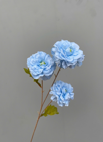 TONE XANH DƯƠNG BLUE