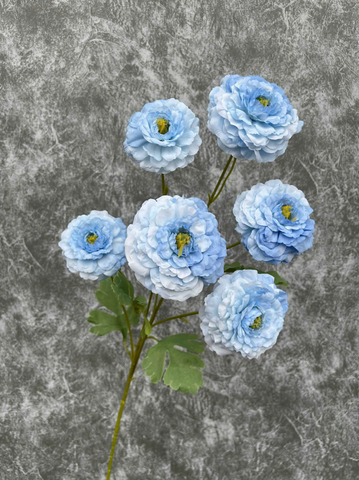 TONE XANH DƯƠNG BLUE