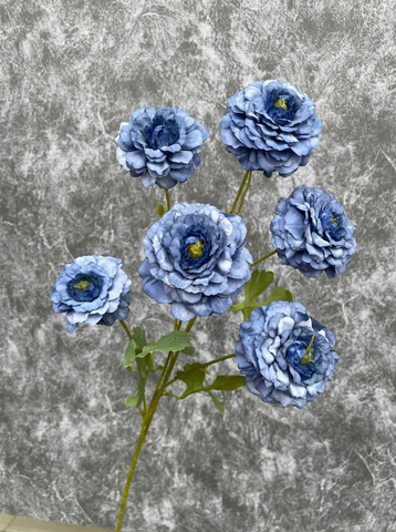 TONE XANH DƯƠNG BLUE