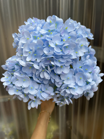 TONE XANH DƯƠNG BLUE
