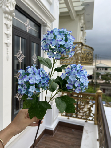 TONE XANH DƯƠNG BLUE