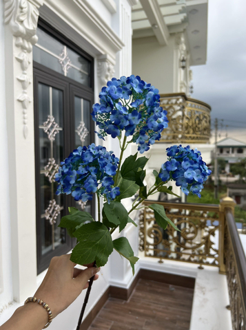 TONE XANH DƯƠNG BLUE