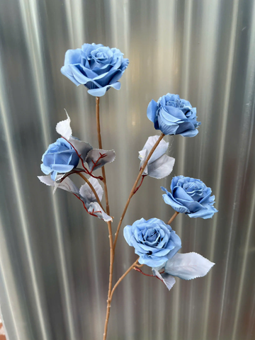 TONE XANH DƯƠNG BLUE
