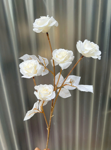 TONE TRẮNG