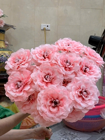 TONE HỒNG NHẠT