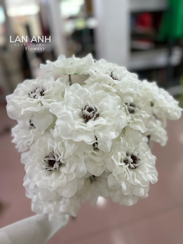 TONE TRẮNG