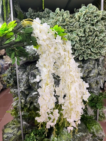 TONE TRẮNG