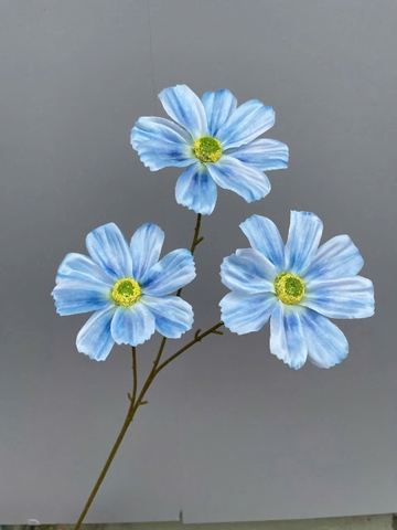 TONE XANH DƯƠNG BLUE