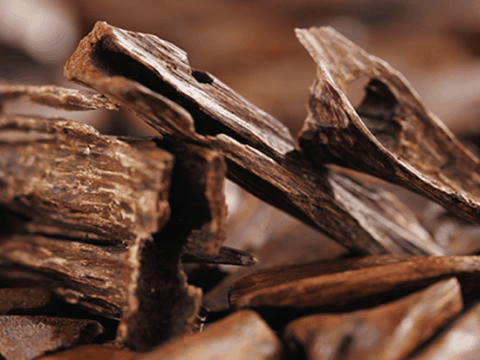 TRẦM HƯƠNG TỰ NHIÊN: TINH HOA KẾT TINH TỪ NỖI ĐAU CỦA CÂY GIÓ BẦU