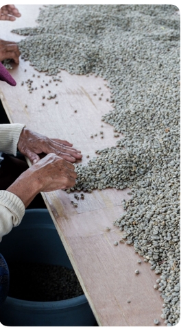 Cà phê Arabica – 500 g