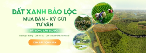 ĐẤT XANH BẢO LỘC | ĐẤT THẬT - GIÁ THẬT - GIAO DỊCH THẬT