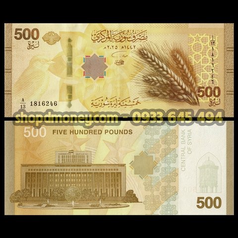 500 pounds Syria 2026