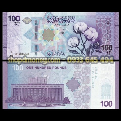100 pounds Syria 2026