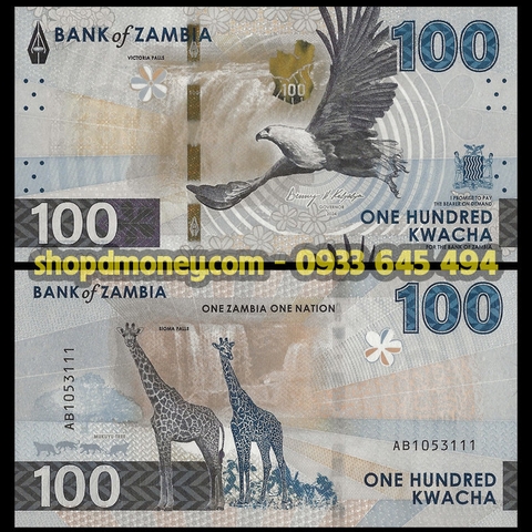 100 kwacha Zambia 2025