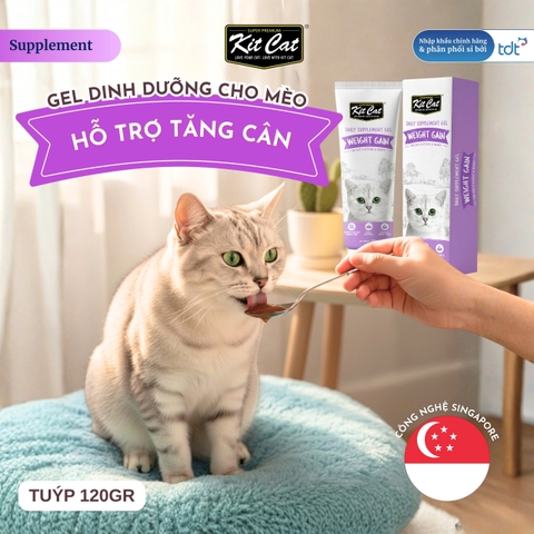 Gel dinh dưỡng Kit Cat hỗ trợ tăng cân cho mèo 120g
