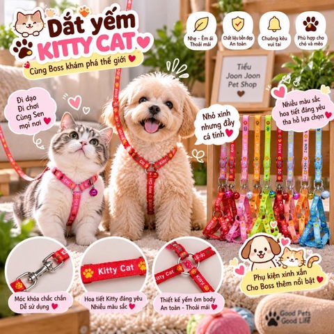 Dây dắt yếm kitty Cat 0.8cm