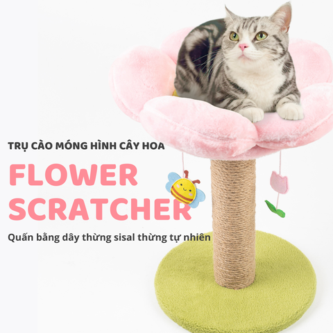 Trụ cào móng cho mèo hình Bông hoa