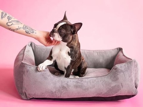 Nệm sọc cao cấp size L