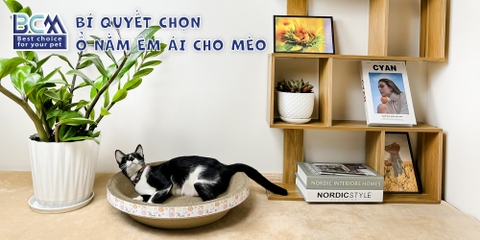 Ổ cào tròn cho Mèo BCM PET 45cm
