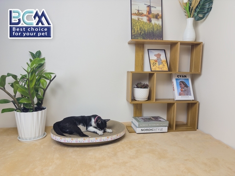 Ổ cào Elip cho Mèo BCM PET 53cm