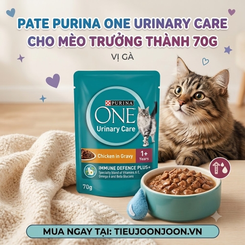 Pate Purina One cho Mèo Trưởng Thành Urinary Care 70g