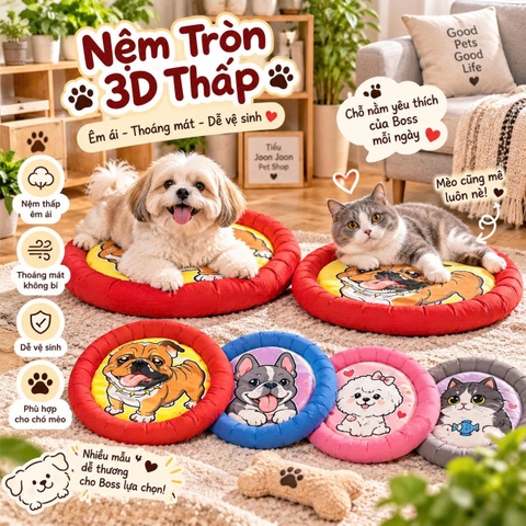 Nệm tròn 3D thấp