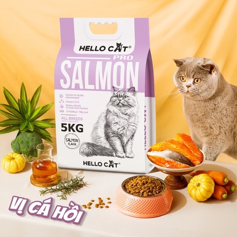 Thức ăn hạt Hello Cat dành cho mèo mọi lứa tuổi - Vị Cá Hồi
