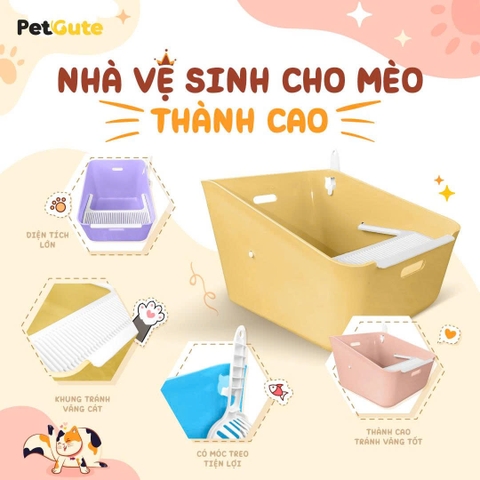 Nhà vệ sinh cho mèo thành cao