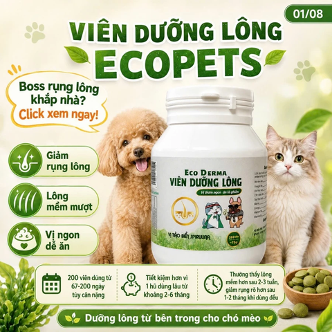 ECO DERMA ( VIÊN DƯỠNG LÔNG 200V)