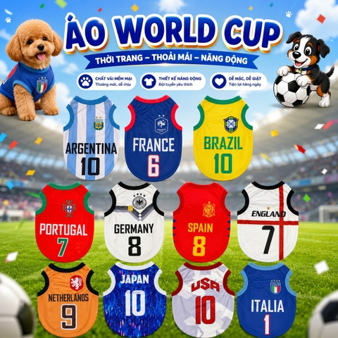 Áo World Cup
