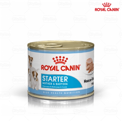 Pate cho chó Royal Canin Starter Mousse lon 195g