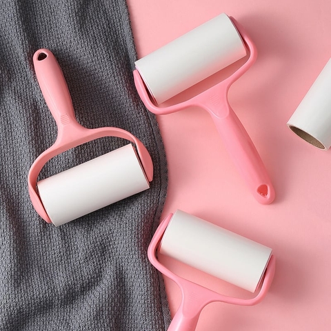 Cây lăn lông chó mèo