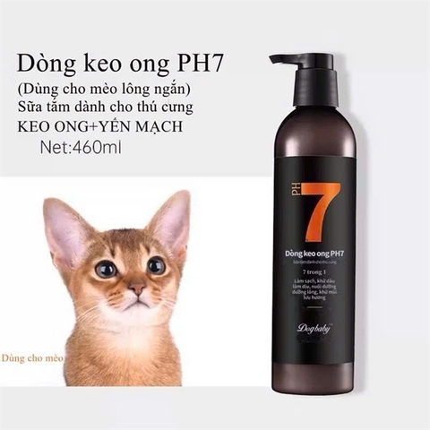 Sữa tắm Keo Ong PH7 cho Mèo Lông Ngắn 460ml