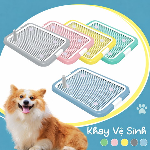 Khay vệ sinh chó dẹp