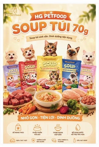 Pate HG gói 70g đủ vị