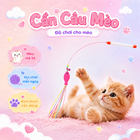 Cần câu mèo Cat Teaser