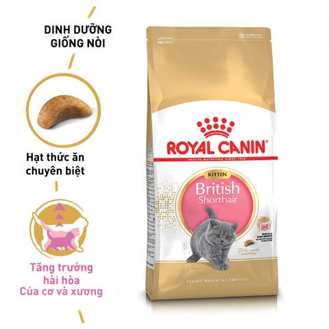 Thức ăn hạt cho mèo Royal Canin - British Shorthair Kitten 2kg