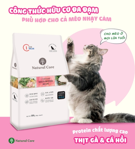 Thức ăn hạt Natural Core ECO C1 đa đạm cho mèo 800g