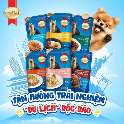 Pate cho chó SmartHeart SPECIAL POUCH gói 120g