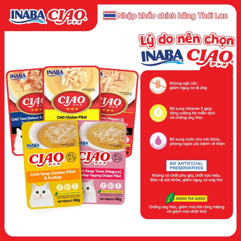 Pate cho mèo INABA CIAO gói 40g