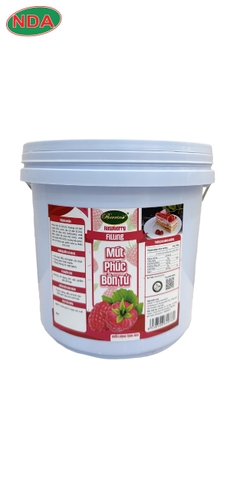 FILLING Mứt PHÚC BỒN TỬ xô 5KG BERRINO